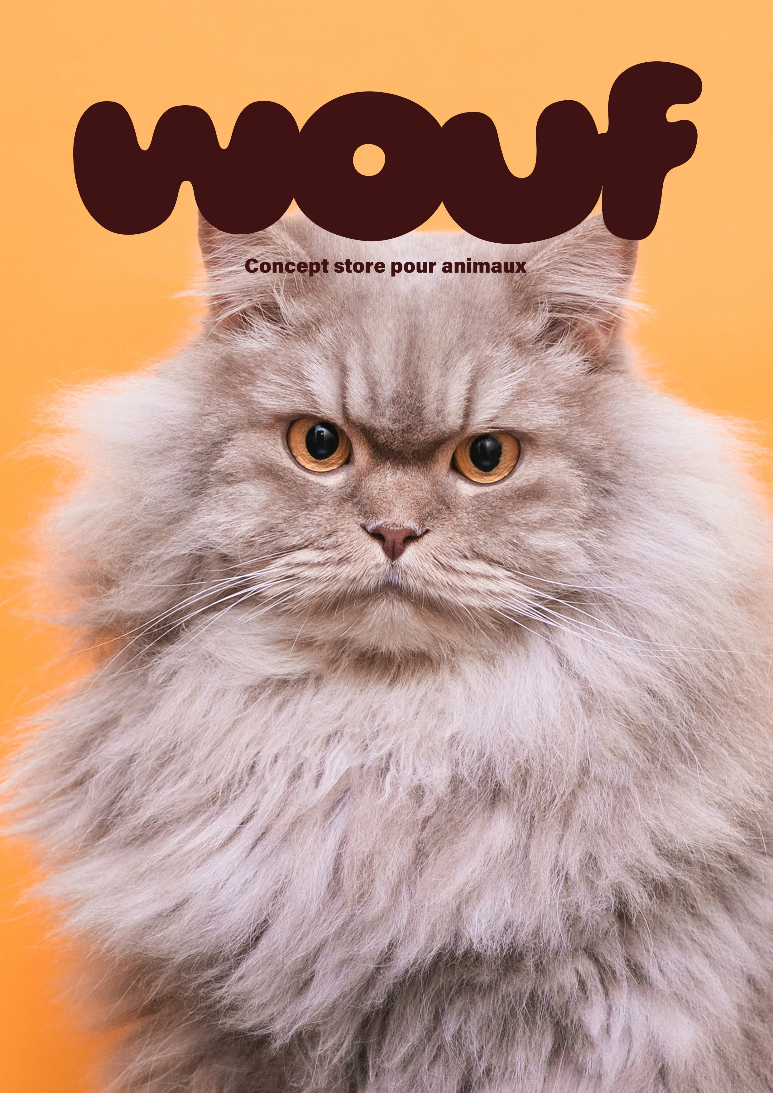 Affiche Wouf chat